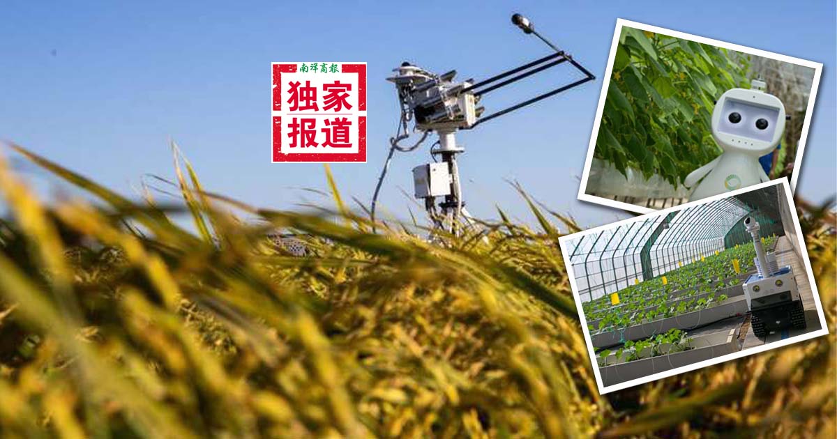 【獨家】用得起·學得會·有實效 政策須接地氣別讓小農掉隊